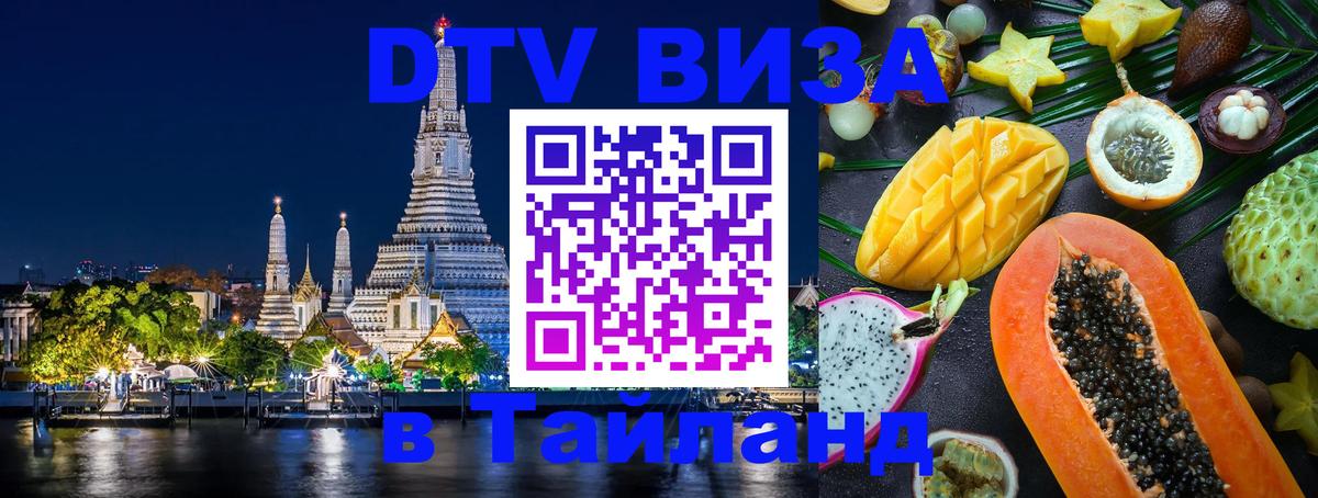 Оформление DTV визы под ключ: стоимость и тарифы, только загранпаспорт - 